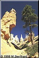 Schroffe Felsen im Bryce Canyon